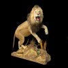 images/tassidermia-mammiferi-africa/